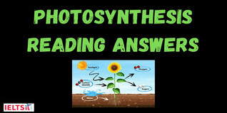 Photosynthesis Reading Answers